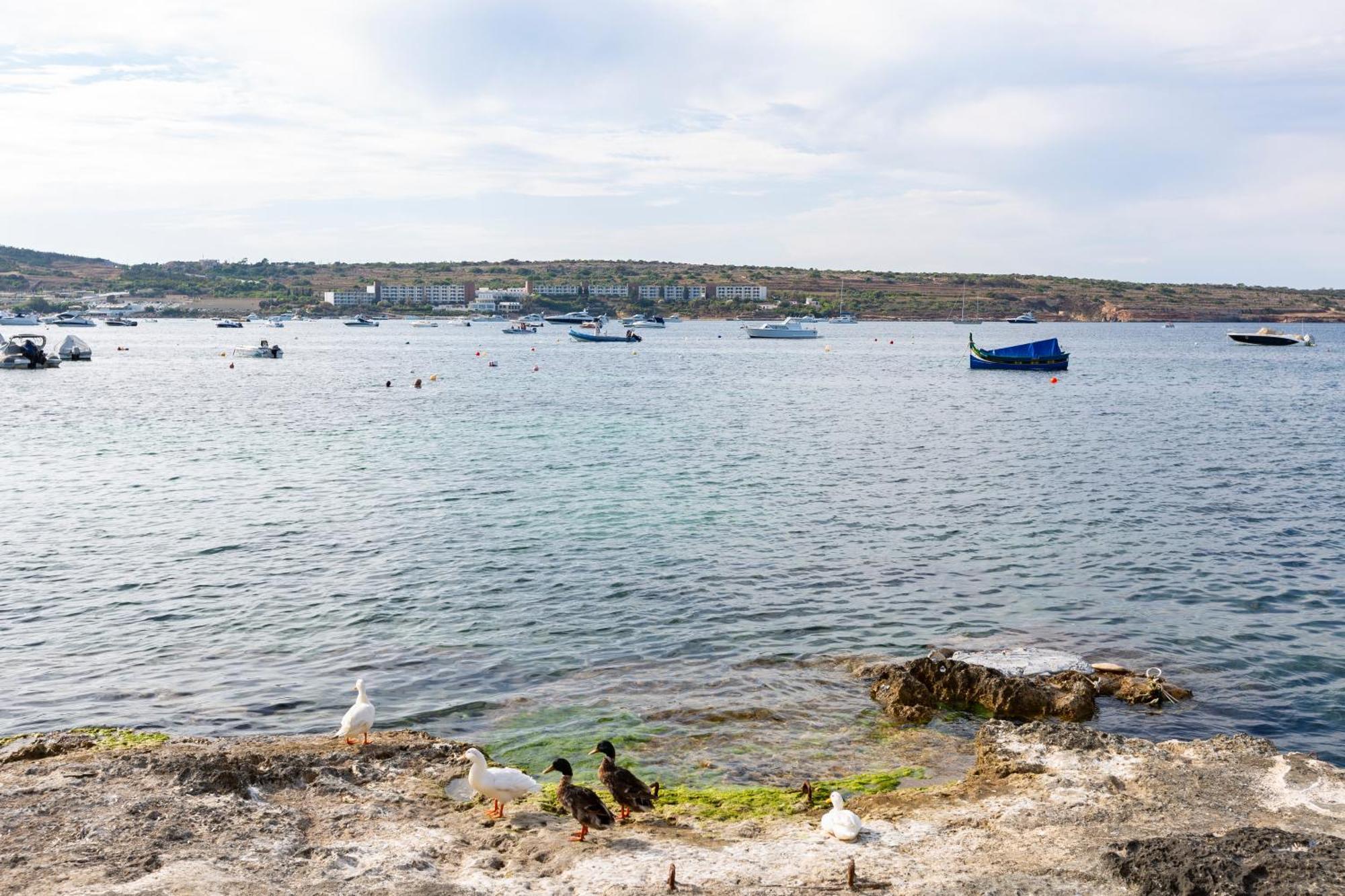 Ne1 - Lovely 2 Bedroom Apartment. Perfect Location Mellieħa Esterno foto